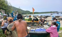 Khẩn trương di dời tàu, thuyền tránh bão số 5 ở Đà Nẵng Ảnh: Nguyễn Thành