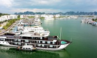 Quảng Ninh không cấp phép hoạt động cho hơn 170 tàu du lịch 