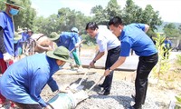 Anh Nguyễn Anh Tuấn, Bí thư thường trực T.Ư Đoàn, Chủ tịch T.Ư Hội LHTN Việt Nam (thứ 2, từ phải qua) cùng các bạn tình nguyện viên đổ đường bê tông tại xã Hòa Nhơn, huyện Hòa Vang, Đà Nẵng ẢNH: Giang Thanh 