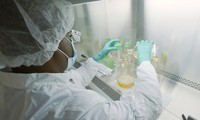 Các nhà nghiên cứu kiểm tra kháng thể trong phòng thí nghiệm.