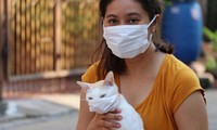 Các nhà khoa học đã tìm ra bằng chứng cho thấy, con người đã truyền SARS-CoV-2 sang mèo và làm mèo mắc COVID-19.
