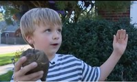 Cậu bé 6 tuổi và chiếc răng voi vừa tìm thấy.