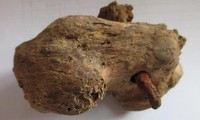 Chiếc đinh xuyên qua gót chân của một người đàn ông La Mã vừa được phát hiện ở Anh.