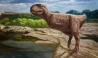 Phát hiện loài khủng long khổng lồ mới giống như trong phim T. rex 