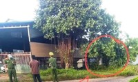 Kinh hãi phát hiện người đàn ông tử vong trong tư thế treo cổ trên cây
