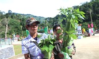 Độc đáo hội thi sâm Ngọc Linh ở huyện miền núi Quảng Nam