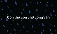 Giữa diễn biến phức tạp của dịch, bạn thuộc team &quot;lật tập&quot; hay chờ công văn &quot;lật kèo&quot;?