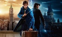 Hãy thôi “cố đấm ăn xôi” với Fantastic Beasts, 11 năm đã đủ lâu để làm mới Harry Potter