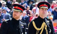 Harry sẽ về đứng bên William trong tang lễ Hoàng thân Philip, còn Kate và Meghan thì sao?