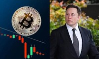 Điều gì làm Bitcoin lên xuống chóng mặt: Elon Musk đang đùa với cuộc đời của vô số người?