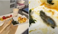 Kinh hoàng với “vật thể lạ” trong hộp thức ăn trên máy bay của một hãng hàng không Thổ Nhĩ Kỳ