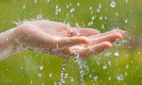 Nước mưa trên khắp thế giới đều có các hóa chất gây ung thư, khuyến cáo không sử dụng