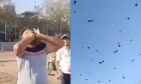 Người đàn ông Ấn Độ có khả năng gọi hàng trăm con quạ bay tới