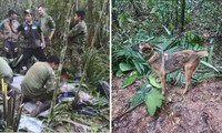 Chú chó đi tìm 4 trẻ em lạc trong rừng Amazon có phản ứng lạ trước khi mất tích