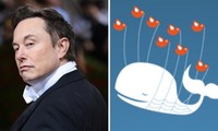 Người dùng Twitter than trời vì lỗi, Elon Musk ra thông báo nhưng bị cho là quá “cùn”
