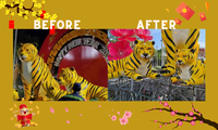 Linh vật Hổ tại Bạc Liêu sau khi make-up: Từ biểu cảm &quot;hờn dỗi&quot; đến khuôn mặt đầy hững hờ