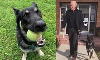 Chó cưng của ông Joe Biden đăng “tâm thư” xin lỗi vì khiến ông bị thương, ai cũng bật cười