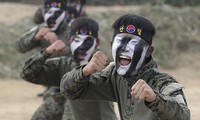 Lực lượng đặc nhiệm Hàn Quốc tập luyện võ thuật. Ảnh: AP