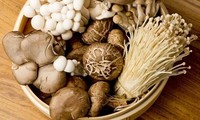 Những sai lầm khi sử dụng nấm có thể gây ra ngộ độc chết người