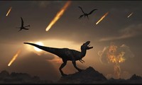 Thảm họa thiên thạch từng hủy diệt loài khủng long, nhưng lại không thể tiêu diệt được loài gián. Ảnh: Getty Images