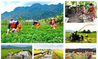 Giao kế hoạch vốn cho các địa phương thực hiện 3 chương trình mục tiêu quốc gia. Ảnh minh hoạ
