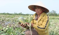 Quảng Nam phấn đấu đến cuối năm 2025, tỷ lệ hộ nghèo của toàn tỉnh giảm còn 2,87%. Ảnh: Hoài Văn