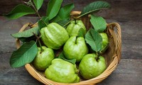 Ổi nhiều vitamin C, ăn rất tốt, nhưng ăn kiểu này thành ‘cực kỳ độc hại’