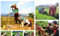 Tăng cường tháo gỡ khó khăn, thúc đẩy triển khai thực hiện 3 chương trình mục tiêu quốc gia