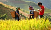 Thúc đẩy khởi nghiệp, thu hút đầu tư vùng đồng bào dân tộc thiểu số và miền núi