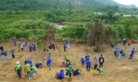 Sinh viên Đà Nẵng trồng cây xanh tại khuôn viên Trung tâm nghiên cứu và triển khai công nghệ bức xạ cơ sở Đà Nẵng - ảnh Đức Thảo 