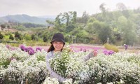Lạc bước giữa vườn hoa cực &apos;chill&apos; ở Đà Nẵng hút hồn giới trẻ mê du lịch 