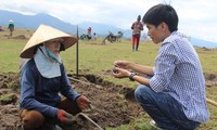 Người dân Phú Yên đổ xô đào đá đen bán giá 4 triệu đồng/kg 