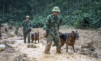 Tìm kiếm đồng đội tại Trạm Kiểm lâm đã bị đất đá vùi lấp - ảnh Văn Chương 