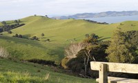 Bài dự thi “New Zealand - Bật mí trăm điều thú vị”: Tháng 10 - mùa cỏ nở hoa và ấn tượng New Zealand của tớ