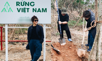 Hà Anh Tuấn thực hiện dự án “Rừng Việt Nam“: Trồng 2 cánh rừng với hơn 1.800 cây xanh