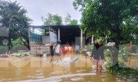 Người dân Quảng Trị mòn mỏi chờ lũ rút để được nấu cơm
