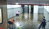 Đường biến thành &apos;sông&apos;, dân chung cư Hà Nội hò nhau bắt cá sau mưa lớn
