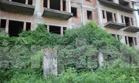 Nhà liền kề, biệt thự bỏ hoang Hà Nội đang bị đẩy giá