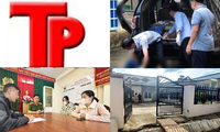 Bản tin Hình sự: Bắt giam kẻ chém chết vợ và em gái vợ vì mâu thuẫn