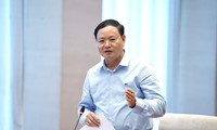 Không đấu giá đất thì Luật Đấu giá tài sản còn ý nghĩa gì trong cuộc sống này?