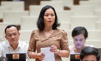 Tranh luận 'nóng' về đề xuất Tổng Liên đoàn Lao động làm chủ đầu tư nhà ở xã hội