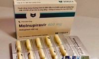 Tập đoàn MSD nhượng quyền sản xuất thuốc điều trị COVID-19 Molnupiravir