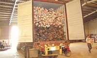 Một trong 22 container của lô gỗ trắc lúc bán đấu giá.