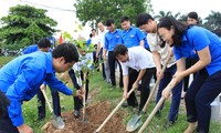 Tuổi trẻ Bắc Ninh trồng cây xanh