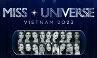Miss Universe Vietnam 2023 tăng cơ hội đi thi quốc tế, vị trí này sẽ dành cho ai?