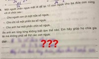 Bài toán &quot;17 con ngựa chia đều cho 3 anh em&quot;, lời giải của bạn nhỏ khiến netizen thán phục