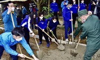 Các hoạt động chào mừng Tháng Thanh niên 2022: Miền Bắc rộn ràng không khí &quot;màu áo xanh&quot;