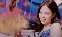 Loài vật xuất hiện trong MV “Ice Cream” có tên là gì mà được Jennie BLACKPINK “hôn môi“?