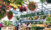Bên trong cửa hàng Starbucks nhà kính ngàn hoa “đốn tim” các tín đồ sống ảo ở Nhật Bản