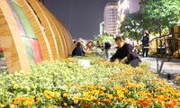 Thâu đêm thi công đường hoa Nguyễn Huệ phục vụ tết Nguyên đán